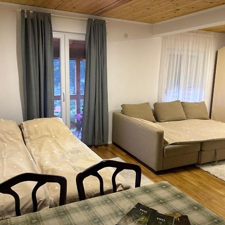 Ljubav Stara Zaovine Hotel Lazici Kültér fotó