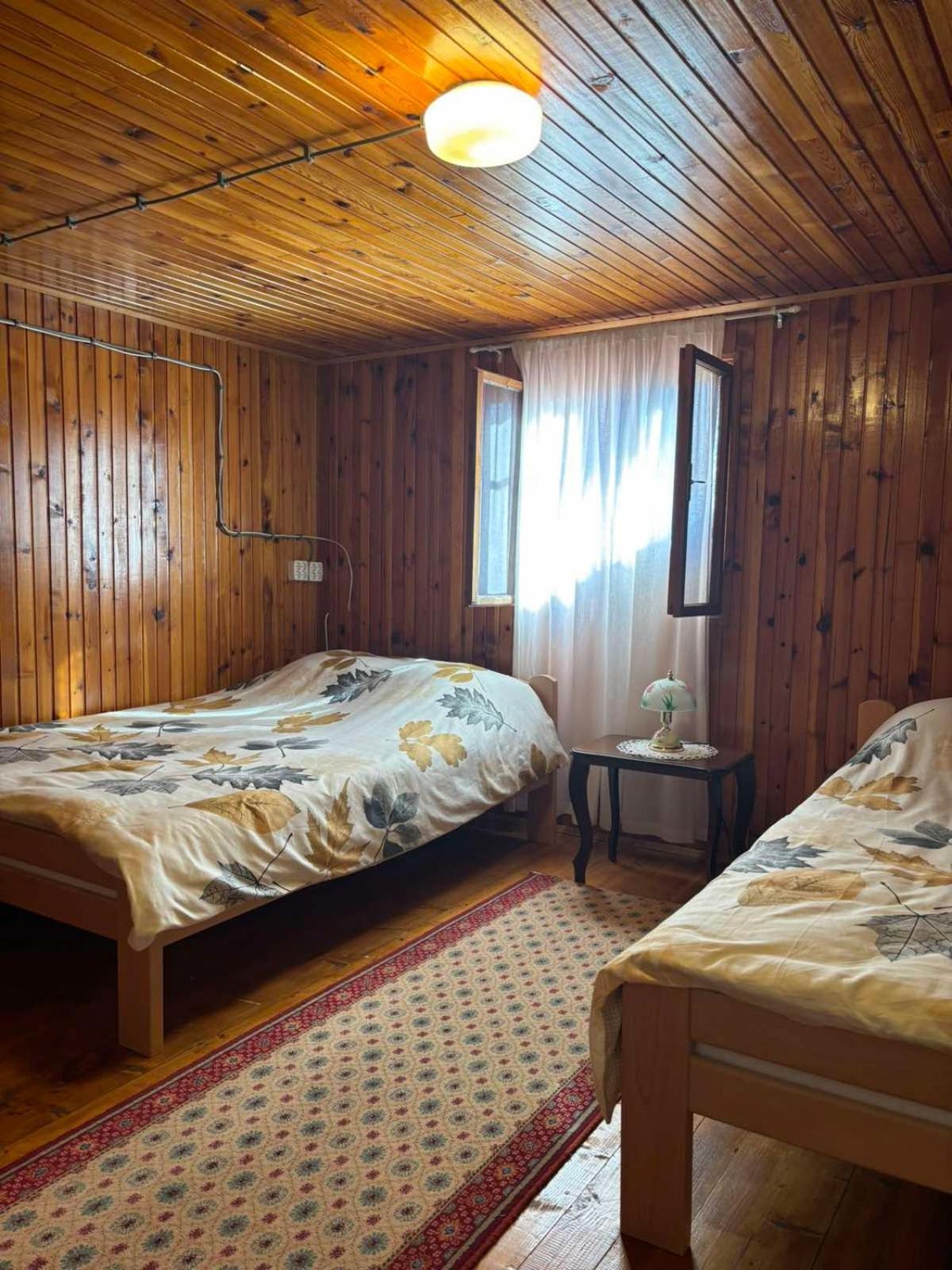 Ljubav Stara Zaovine Hotel Lazici Kültér fotó